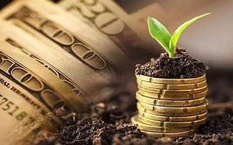 国际期货晶晶老师